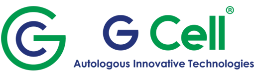 Avada Accountant Demo